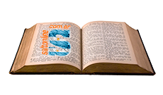 Biblioteca Virtual de Saltonline