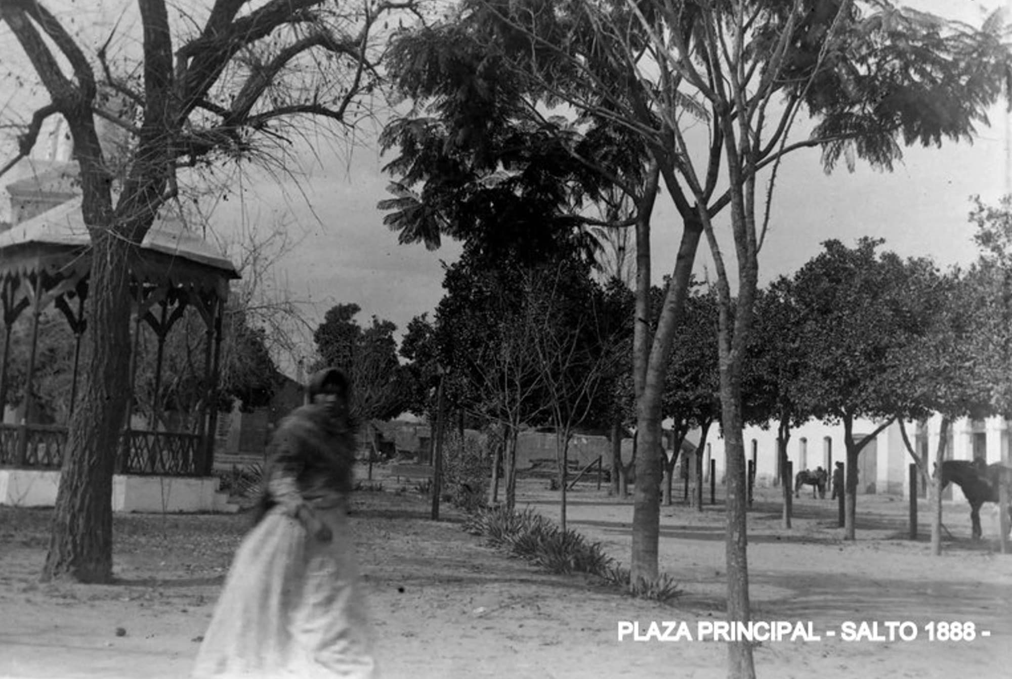 Plaza principal, año 1888.