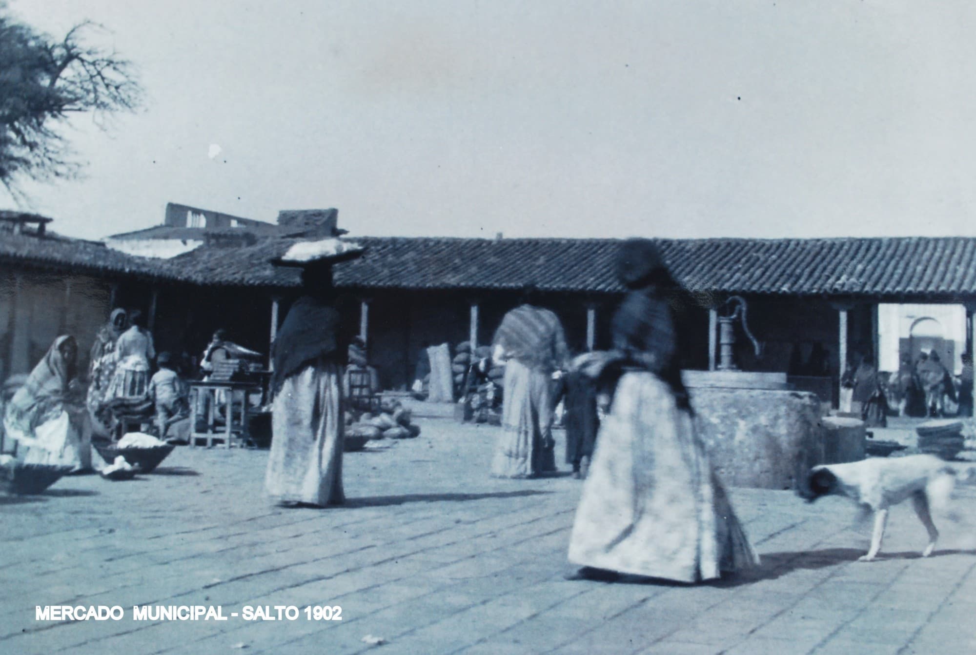 Mercado viejo del año 1902