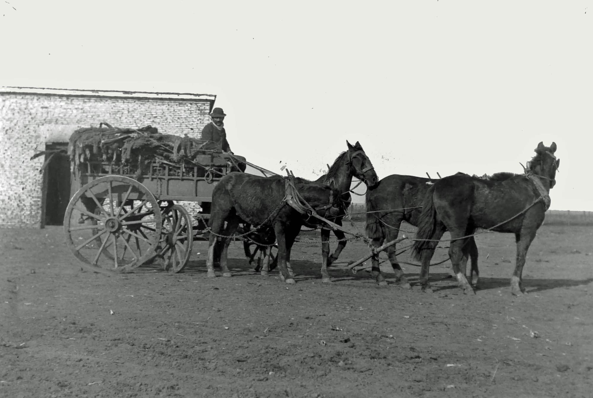 Carrero con carga de cueros vacunos, año 1889