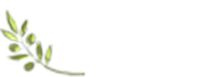 Olivar El Morrito