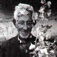 Chato Flores
