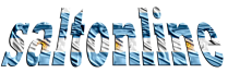 Logo Saltonline