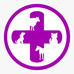 Logo Empresa