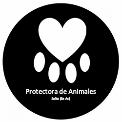Logo Empresa